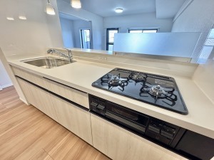 吉川市中野、マンションの画像です