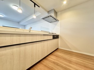 吉川市中野、マンションの画像です