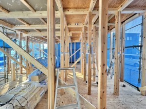 吉川市新栄、新築一戸建ての画像です