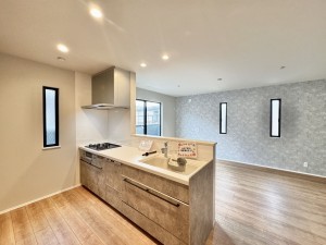 三郷市栄、新築一戸建ての画像です