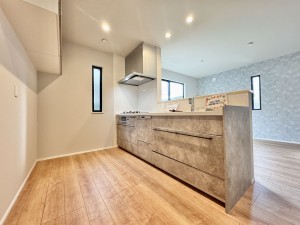 三郷市栄、新築一戸建ての画像です