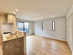 三郷市栄、新築一戸建ての画像です