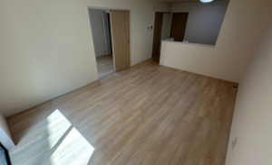 三郷市東町、新築一戸建ての画像です