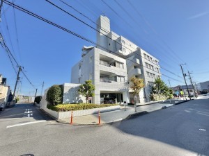 三郷市東町、マンションの画像です