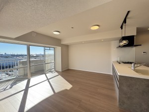 三郷市さつき平、マンションの画像です