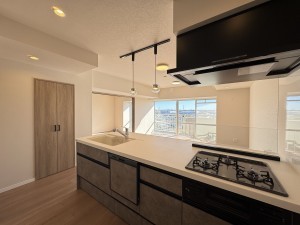 三郷市さつき平、マンションの画像です