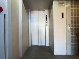 三郷市さつき平、マンションの画像です