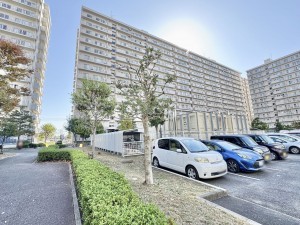 三郷市さつき平、マンションの画像です