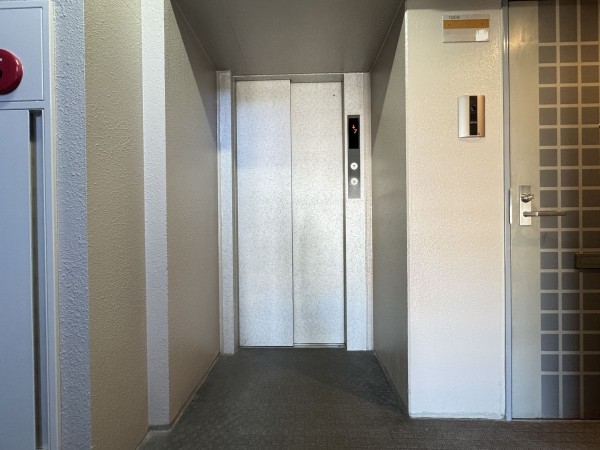 三郷市さつき平、マンションの画像です