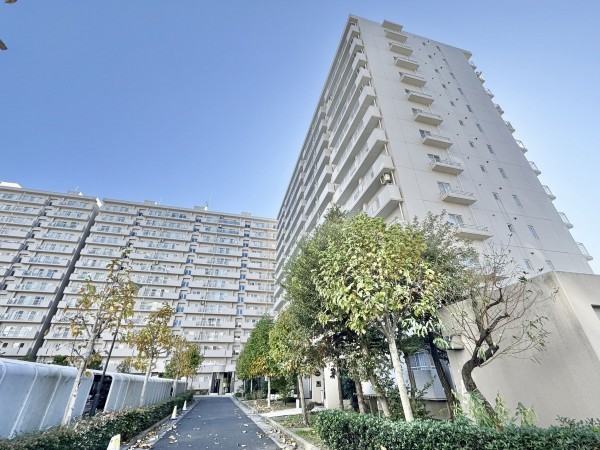 三郷市さつき平、マンションの画像です