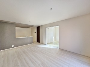 三郷市早稲田、新築一戸建ての画像です