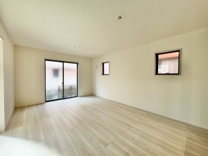 三郷市早稲田、新築一戸建ての画像です