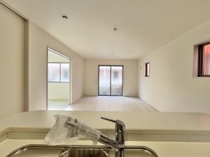 三郷市早稲田、新築一戸建ての画像です