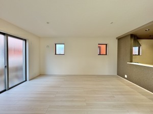 三郷市早稲田、新築一戸建ての画像です