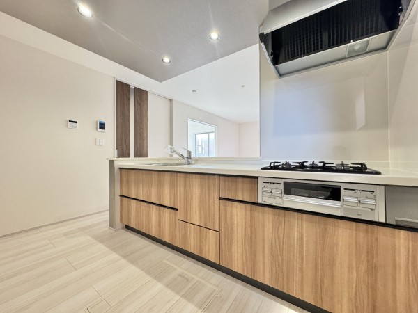 三郷市早稲田、新築一戸建ての画像です