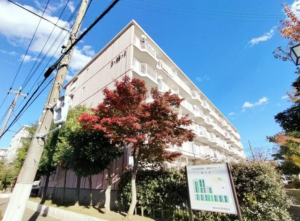 三郷市早稲田、マンションの画像です
