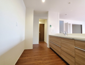 三郷市天神、新築一戸建ての画像です