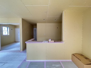 吉川市栄町、新築一戸建ての居間画像です