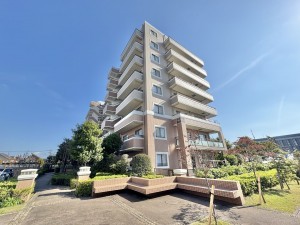 吉川市きよみ野、マンションの画像です