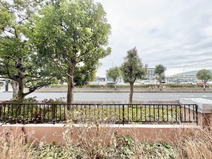 吉川市きよみ野、マンションの画像です