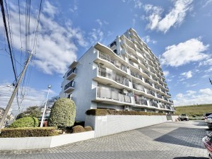 三郷市早稲田、マンションの画像です