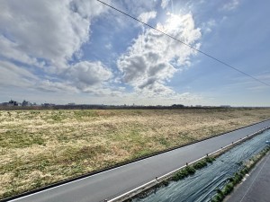 三郷市早稲田、マンションの画像です