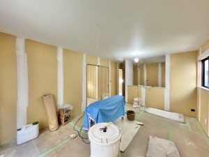 三郷市戸ケ崎、新築一戸建ての画像です