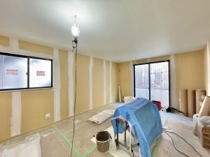 三郷市戸ケ崎、新築一戸建ての画像です