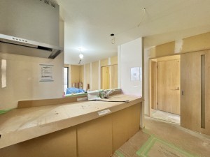 三郷市戸ケ崎、新築一戸建ての画像です