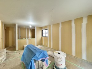 三郷市戸ケ崎、新築一戸建ての画像です