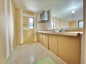 三郷市戸ケ崎、新築一戸建ての画像です