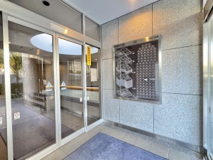 三郷市さつき平、マンションの画像です