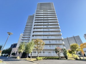 三郷市さつき平、マンションの画像です