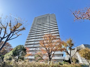 三郷市さつき平、マンションの画像です