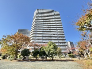 三郷市さつき平、マンションの画像です