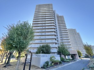 三郷市さつき平、マンションの画像です