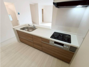 三郷市彦川戸、新築一戸建ての画像です