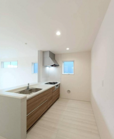 三郷市彦川戸、新築一戸建ての画像です