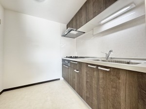 三郷市高州、マンションの画像です