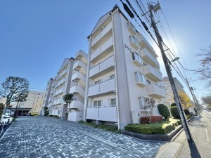 三郷市早稲田、マンションの画像です