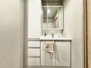 三郷市早稲田、マンションの画像です