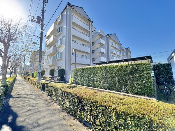 三郷市早稲田、マンションの画像です