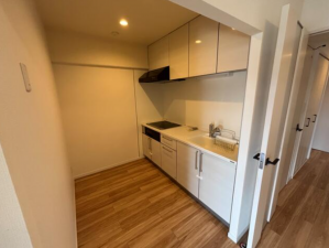 三郷市東町、マンションの画像です