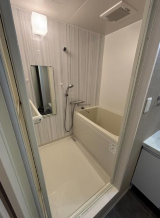 三郷市東町、マンションの画像です