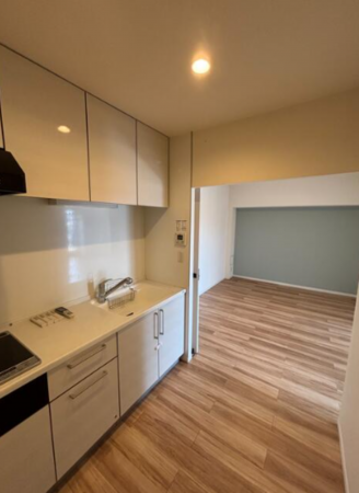 三郷市東町、マンションの画像です