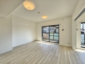 吉川市大字保、マンションの画像です