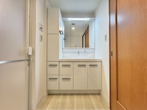 吉川市大字保、マンションの画像です