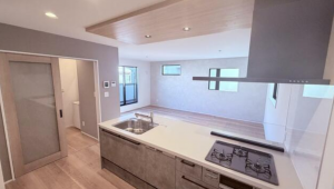 三郷市鷹野、新築一戸建ての画像です