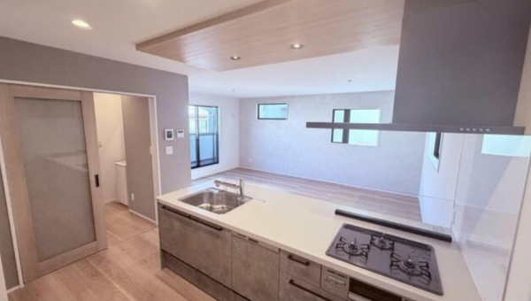 三郷市鷹野、新築一戸建ての画像です