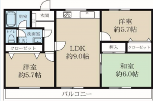 三郷市鷹野、マンションの間取り画像です